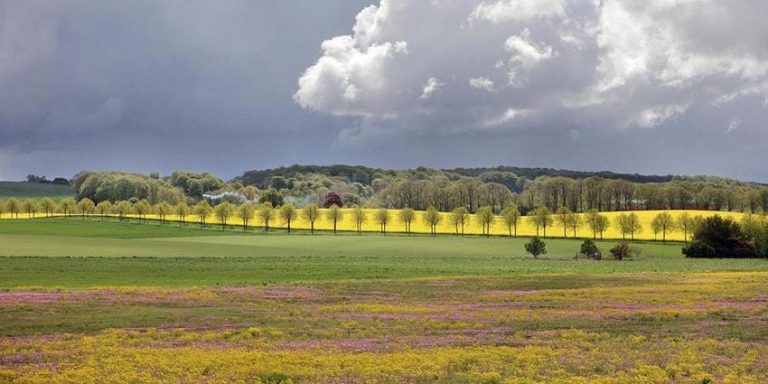 Towards a Sustainable Bio-Economy Tickets, Tue 4 Aug 2020 at 11:00
